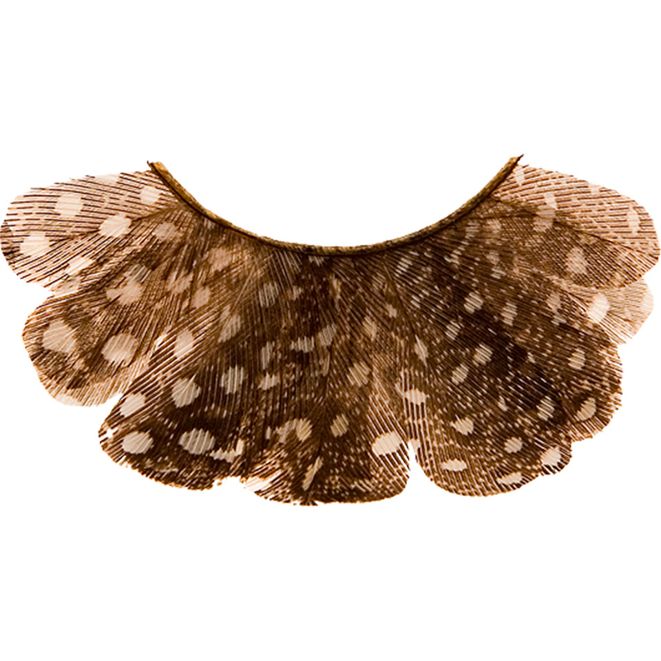 Ресницы перьевые/Eyelashes Peacock 14мм-22 мм