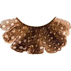 Ресницы перьевые/Eyelashes Peacock 14мм-22 мм