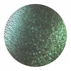 Рассыпчатые тени Сверкающая Заступница Sigil Inspired Tammy Tanuka